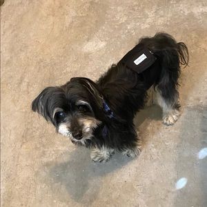 Meet your Posher, Heidi